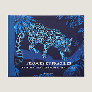 ferocious-and-fragile-book-in-